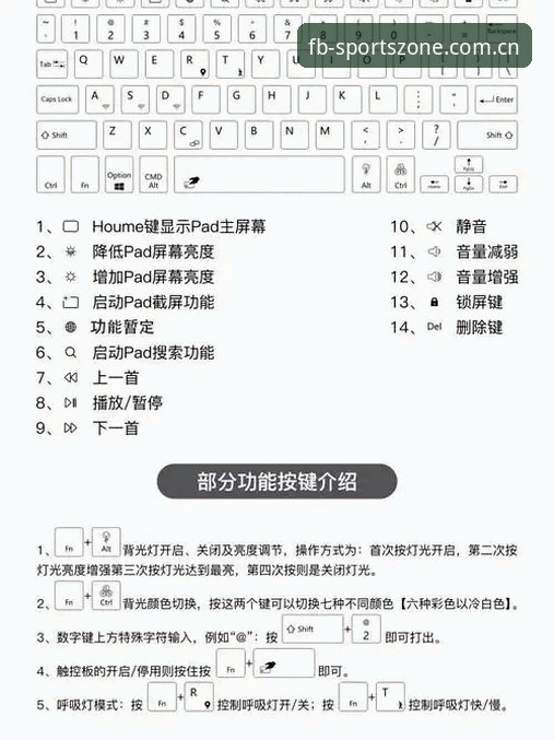 掌握FB体育电脑版功能的关键：从安装到深度分析的实用指南